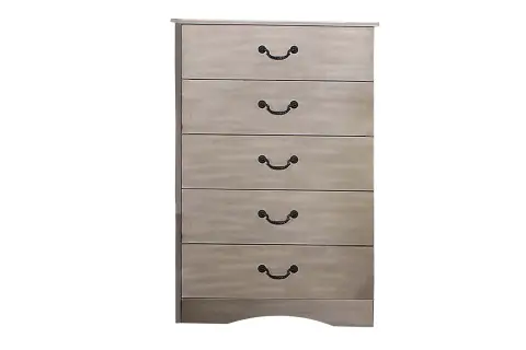 Chest