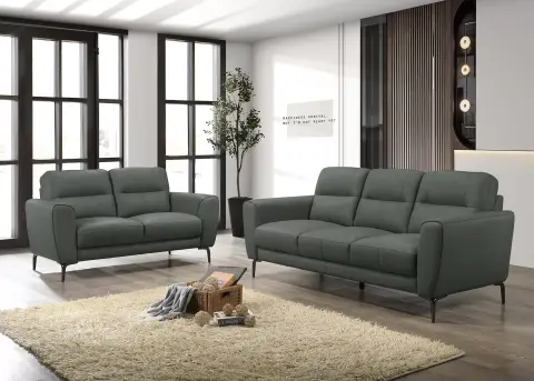 2-Piece Sofa Set, Anthracite (Dark Gray)